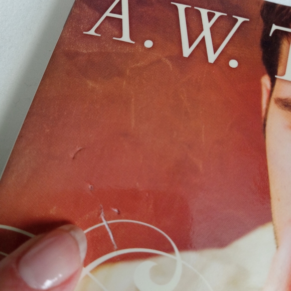 " A.W. Tozer on Worship and Entertainment  " Book Christain Living Spirituality - Picture 3 of 12